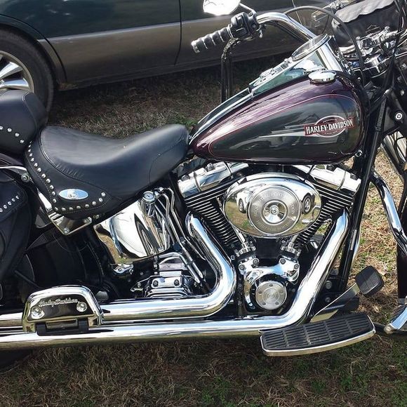 Meet your Posher, Joey - Picture 1 of 1